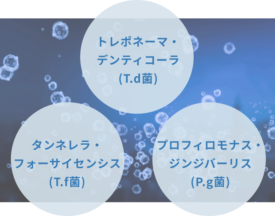 歯周病を引き起こす重要な細菌